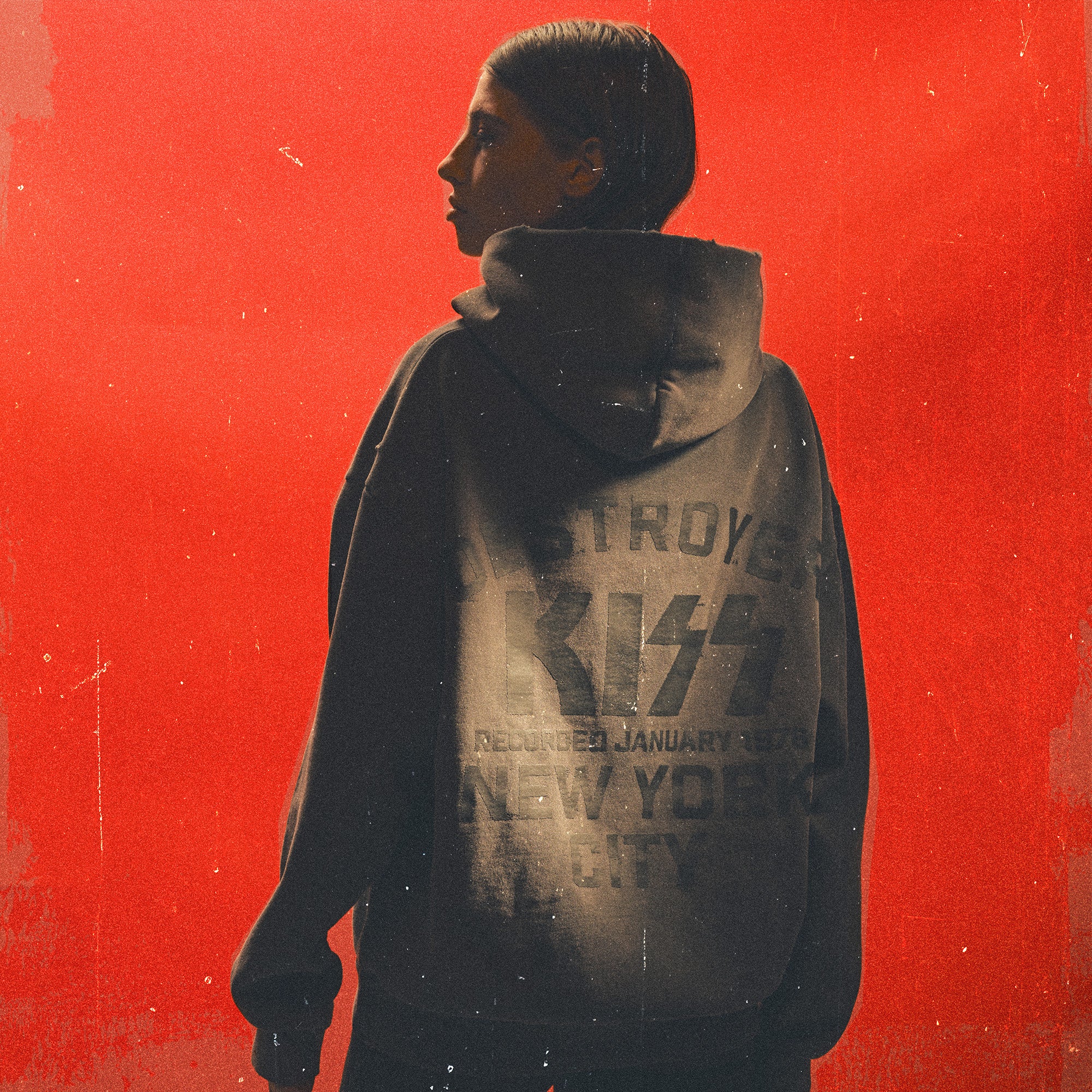 Destroyer Destroyed Hoodie